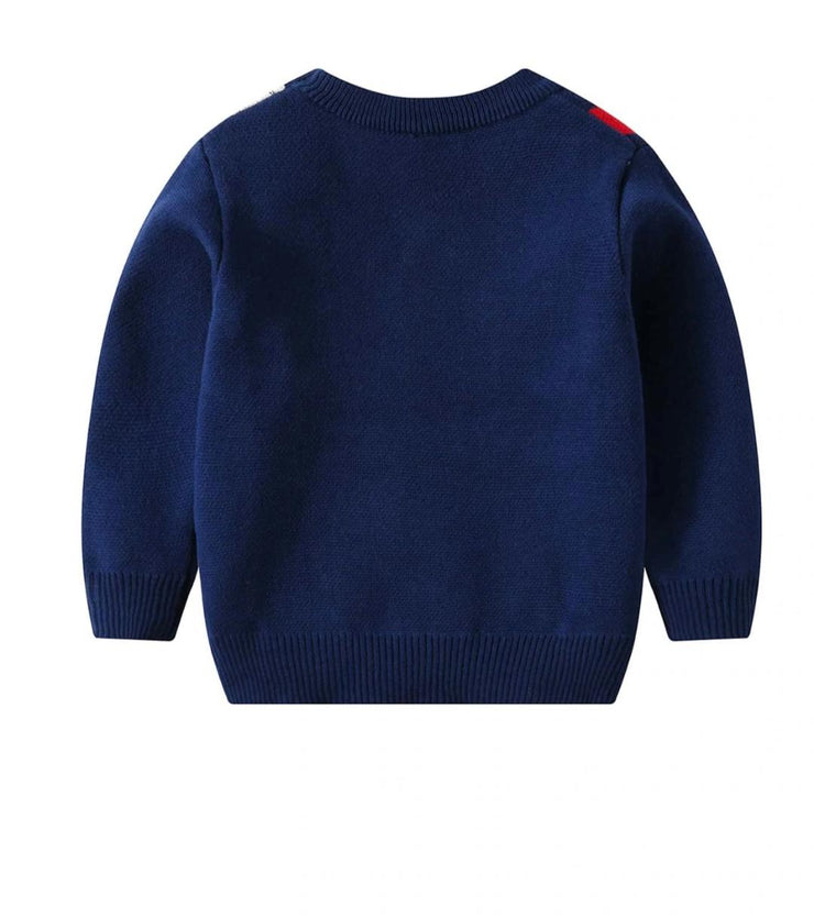 Toddler Boys Pattern Colorblock Sweater